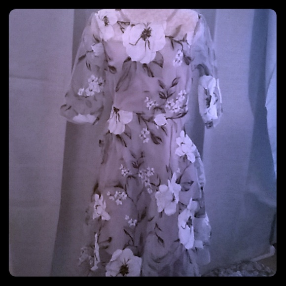 Missloo Dress - Picture 1 of 4